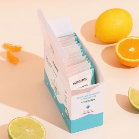 Nettoyant WC naturel 3-en-1 poudre Ecocert fosse septique Pimpant | EticStories