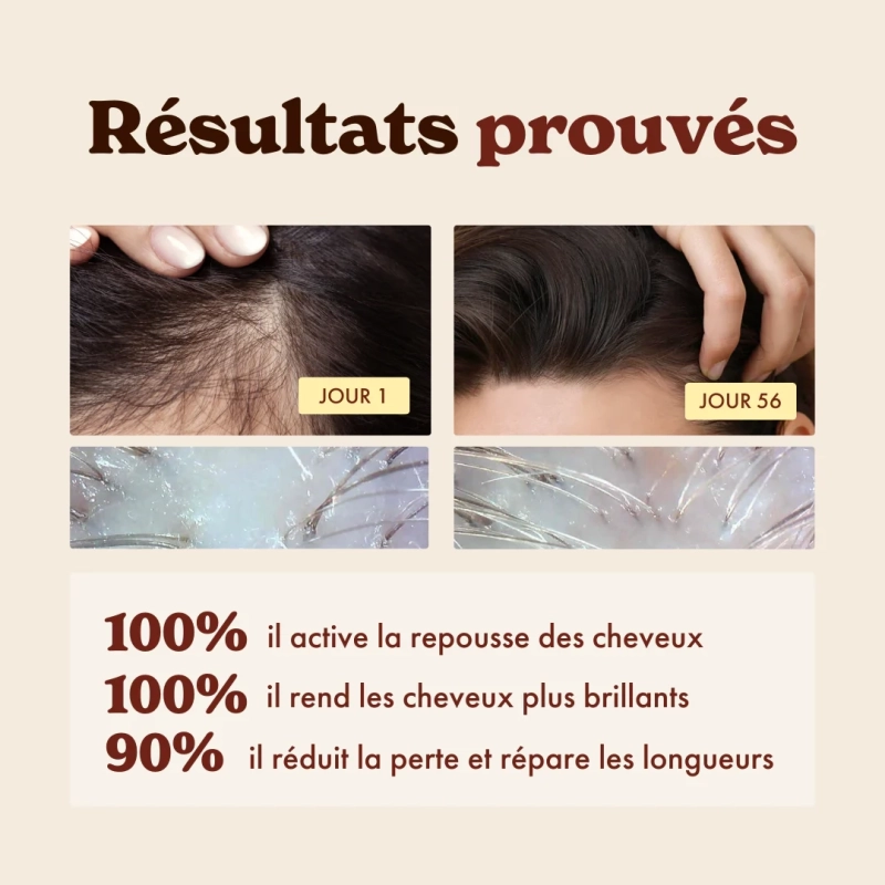 Coffret Rituel Fortifiant - anti-chute & densité - Maison Hädenn x Sylvie Lefranc