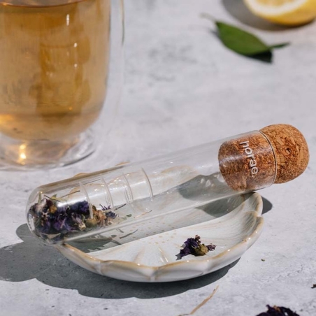 Infuseur transparent en verre soufflé - Horae