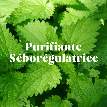 Shampoing Purifiant  - RECHARGE Poudre à diluer - Pimpant